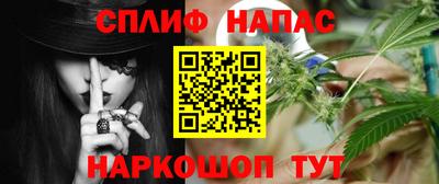 Альфа ПВП Малгобек