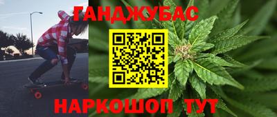 Альфа ПВП Малгобек