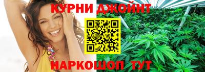 Альфа ПВП Малгобек