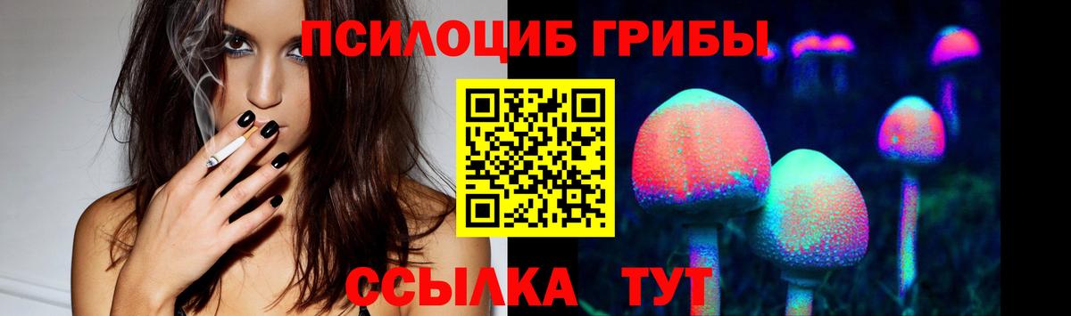 Сокол  Галлюциногенные грибы мухоморы  Вход с VPN 